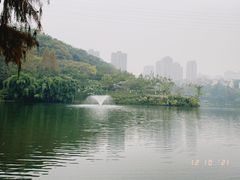 -重庆彩云湖湿地公园