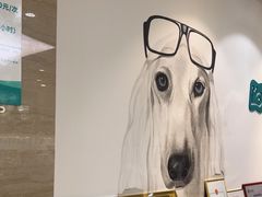 -美联众合动物医院·24h转诊中心