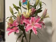 -三旗百汇商品城