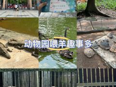 -广东茂名森林公园