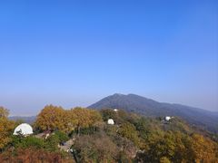-紫金山天文台