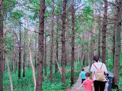 -白草畔自然风景区