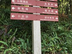 -广州市帽峰山景区