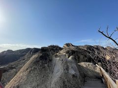 -大岭沟猕猴桃谷风景区