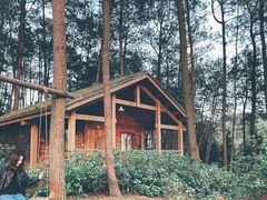 -重庆雨台山风景区