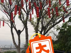 -福道