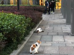 -陆家嘴世纪金融广场