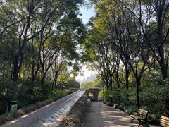 -苏州河梦清园环保主题公园