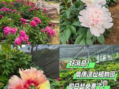 -洛阳市隋唐城遗址植物园