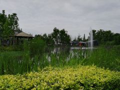 -成飞公园