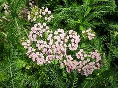-北京植物园-展览温室