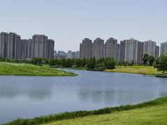 -洋湖国家湿地公园