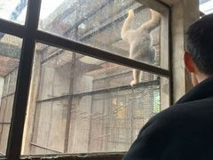 -昆明动物园