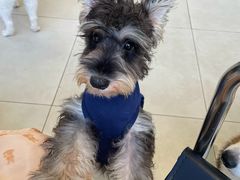 -怪兽屋·羊驼·猫咖·狗咖(俊华广场店)