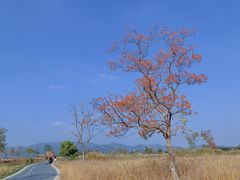 -良渚古城遗址公园