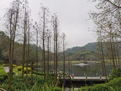 -国恩寺