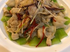 -鸢飞潍坊菜馆(鸢飞大酒店)