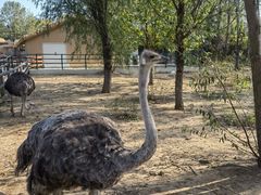 -大连森林动物园