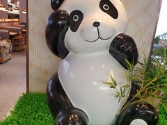 -大熊猫毛肚火锅(烟台万象汇店)