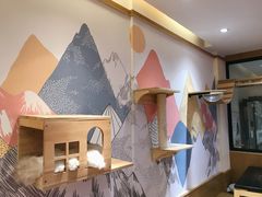 -滚猫咖啡·猫咖·猫友好撸猫(未来城店)