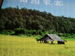 -湘邻呷铺·田园家宴(汉基广场店)