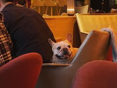 -JUJU韩式烤肉·干杯小酒馆