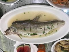 半条白水鱼，8两多.-旺山·浪头人家