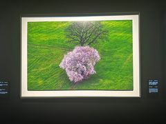 -罗红摄影艺术馆