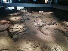 -自贡恐龙博物馆