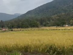-塔川景区