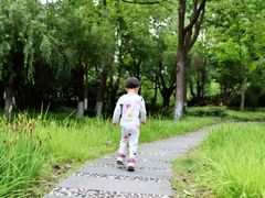 -苏州河梦清园环保主题公园