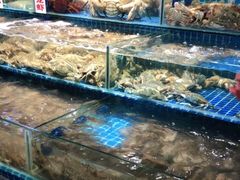 水产区-渔人湾码头海鲜市场负二楼