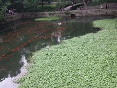 -普陀山风景名胜区-法雨禅寺