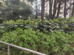 -华山儿童公园