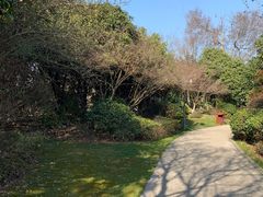 -桃花岛景观公园