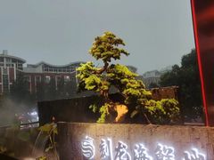 -龙宴海鲜城(经中路店)