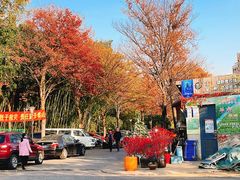 -上海虹桥花卉市场经营管理有限公司-停车场