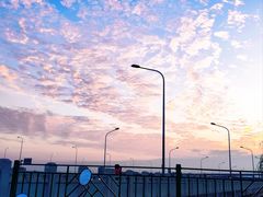 -绿堤公园