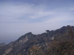-少华山国家森林公园