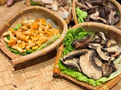 -滇野云南野生菌餐厅(陕西南路店)