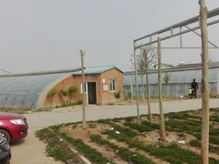 -甜心庄园·甜心草莓采摘园(西青中北店)
