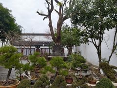 -凤凰寺