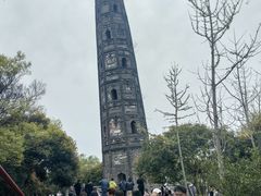 -上海佘山国家森林公园天马山园