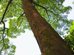 -道教老君洞