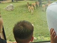 -西安秦岭野生动物园