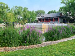 -万柳阁小馆·花园餐厅(龙潭湖店)
