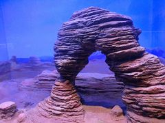 -重庆自然博物馆(新馆)