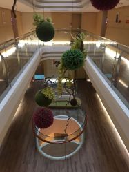 点击看大图 -爱弥儿月子中心(省医院店)