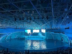 -海合安青岛极地海洋公园