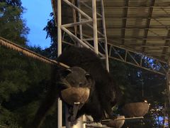 -清迈夜间动物园